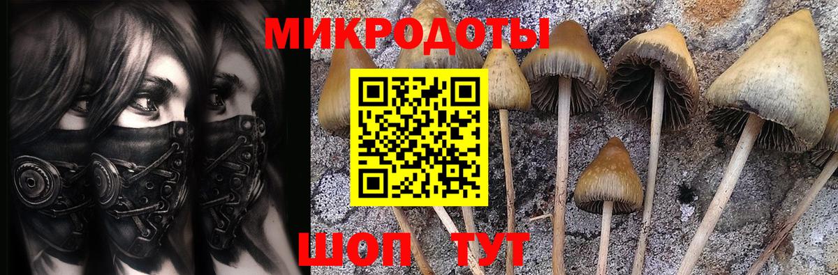 Кумертау  цена   Вход с VPN  Псилоцибиновые грибы GOLDEN TEACHER 